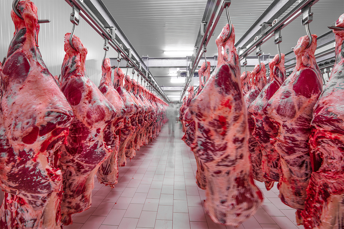 Meat Cold Store UK